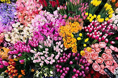 作曲人坦言北欧神话篇已完美收官 静候《战神》新征程