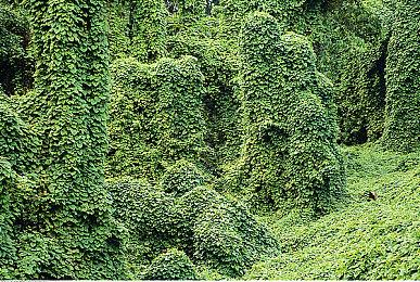 《魔法使之夜》高清重制版 全球销量突破11万